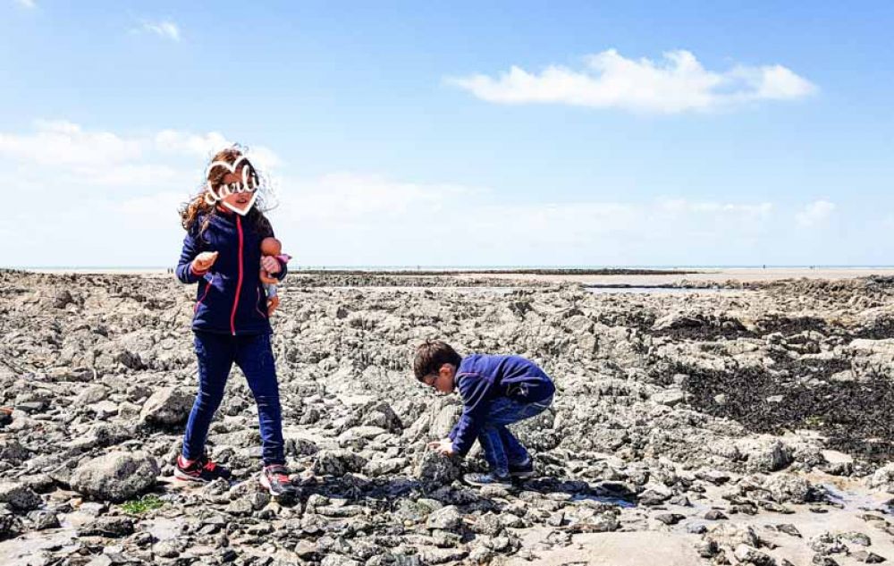 que faire dans la manche